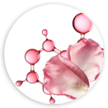 Rose PDRN